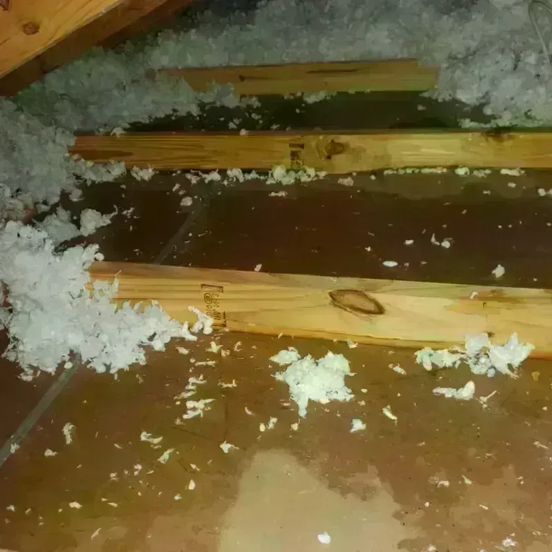 Attic Water Damage in Loma Rica, CA